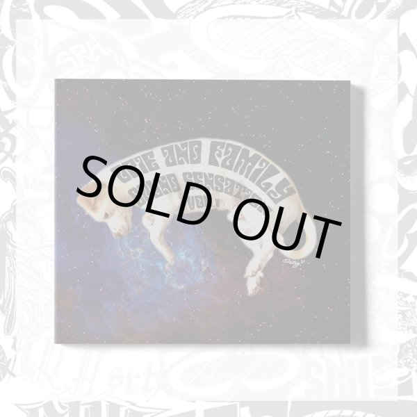 画像11: ラスト2枚で終了 12インチレコード 19枚限定入荷 OPIE & FAMILY / SOUND SENSATION VOL. 1 (輸入盤LP '12) (11)