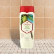 画像2: OLD SPICE / FIJI with PALM TREE ボディーウォッシュ 473ml (2)