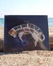 画像1: ラスト1枚で終了 OPIE & FAMILY / SOUND SENSATION VOL. 1 (輸入盤CD) (1)