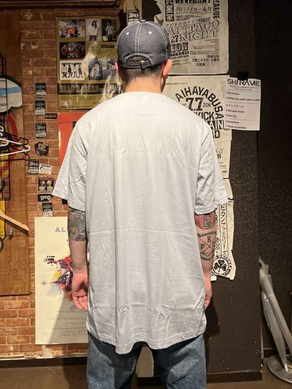 画像5: 2XLラスト2枚で終了 DGWD / BLUE DAGGER OWL 半袖Tシャツ artwork by MR. LEE (5)