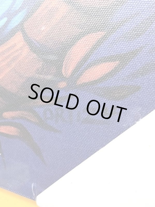 画像9: 1点のみ限定入荷 スーパーレア 送料込み DGWD / SKULL SURF キャンバスアート Desinded by OPIE ORTIZ (9)