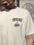 画像6: Lサイズラスト1枚で終了 送料無料 SANCHO'S TACOS / Good Livin Taco? 半袖Tシャツ WHITE (6)