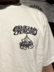 画像7: Lサイズラスト1枚で終了 送料無料 SANCHO'S TACOS / Good Livin Taco? 半袖Tシャツ WHITE (7)