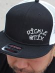 画像3: スメリーさん直買い付けアイテム 限定2枚のみ PICKLE STIX SURFBOARDS / OG メッシュキャップ (3)