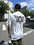 画像4: Lサイズラスト1枚で終了 LONGBEACH DUB ALLSTARS / Butterfly 半袖 Tシャツ WHITE (4)