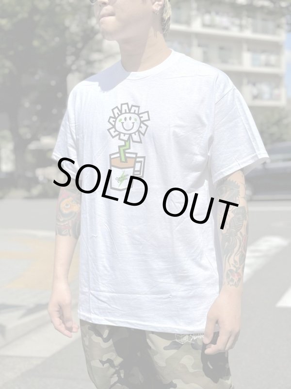 画像4: 1950円OFF 売り切れ次第廃番 Youth Lサイズラスト1枚で終了 GREEN DAY OAKLAND COFFEE WORKS / FLOWER POT Tシャツ WHITE (4)
