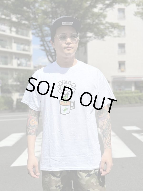 画像2: 1950円OFF 売り切れ次第廃番 Youth Lサイズラスト1枚で終了 GREEN DAY OAKLAND COFFEE WORKS / FLOWER POT Tシャツ WHITE (2)