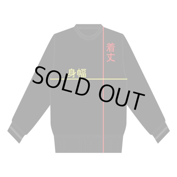 画像10: 送料無料 L、2XLラスト1枚づつで終了 NIRVANA / Flipper タイダイスウェット (10)