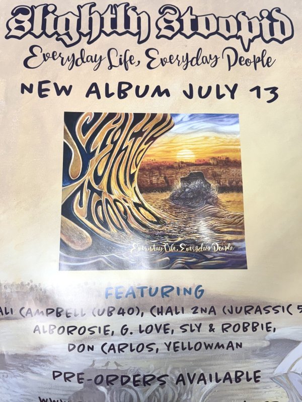 画像2: SUBLIME DJ PRODUCT 買い付けアイテム Slightly Stoopid / Everything Life, Everyday People ポスター (61センチx46センチ) (2)