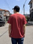 画像5: SUBLIME / 40oz To Freedom Tシャツ バーガンディー (5)
