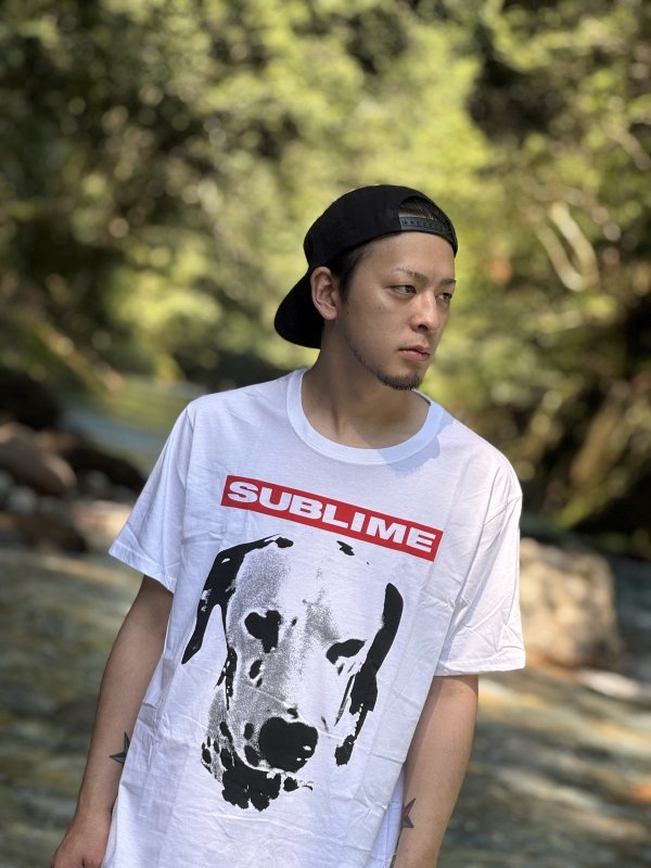 画像4: SUBLIME / Lou Dog Tシャツ (4)