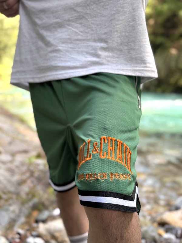 画像5: 送料無料 FUCKIN' MELLOW CLOTHING / Long Beach Posse artwork by PICTURE MOUSE バスケショーツ グリーン (5)