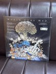 画像5: 2枚のみ限定 SUICIDAL TENDENCIES / World Gone Mad - Limited Edition ブルー盤 2枚組 12インチ レコード SUICIDAL Records Official 新品未開封 (5)