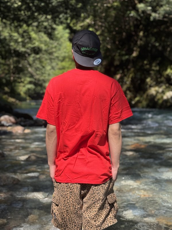 画像7: ALL / Allroy Sez Tシャツ レッド SST Records Official (7)