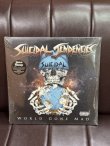 画像2: 2枚のみ限定 SUICIDAL TENDENCIES / World Gone Mad - Limited Edition ブルー盤 2枚組 12インチ レコード SUICIDAL Records Official 新品未開封 (2)