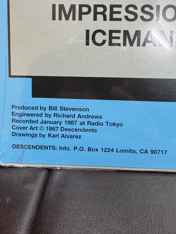 画像6: 5枚のみ限定入荷 DESCENDENTS x ALL 12インチ レコード SST Records Official 新品未開封 (6)