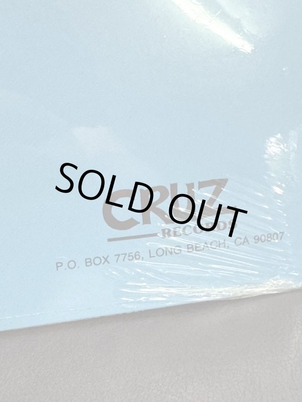 画像10: ラスト1枚 訳アリB品70％OFF  ALL / Allroy Saves 12インチ レコード SST Records Official 新品未開封 (10)