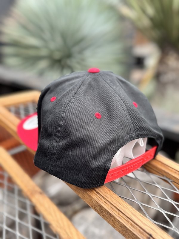 画像7: 送料無料 NOFX "Final Tour Last Merch" / Logo スナップバックキャップ (made in USA) (7)