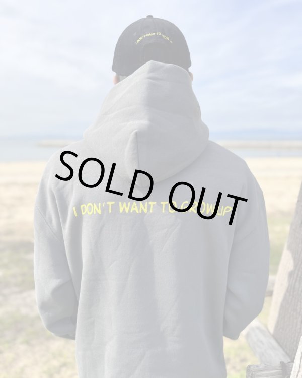 画像5: XLサイズラスト2枚で終了 送料無料 DESCENDENTS / I Don’t Want To Grow Up プルオーバーパーカー SHADOW GREY (5)