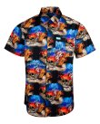 画像4: カリフォルニア買付アイテム 送料無料 SLIGHTLY STOOPID x DIXXON FLANNEL CO / Closer to the sun コラボ半袖シャツ (4)