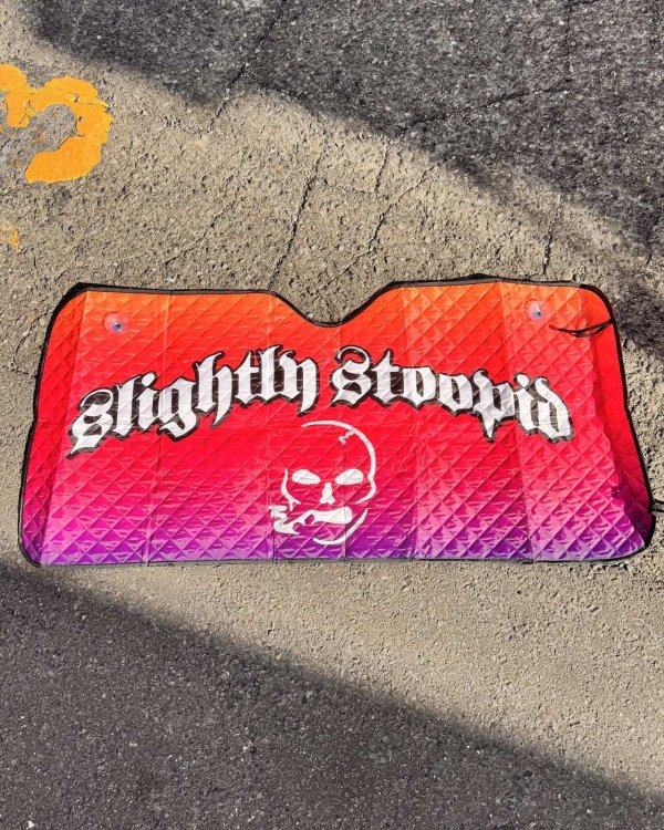 画像1: 送料無料 限定4枚のみの入荷 SLIGHTLY STOOPID / Stoopid サンシェード (1)