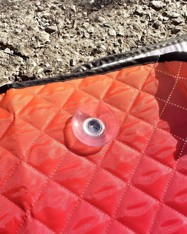 画像5: 送料無料 限定4枚のみの入荷 SLIGHTLY STOOPID / Stoopid サンシェード (5)