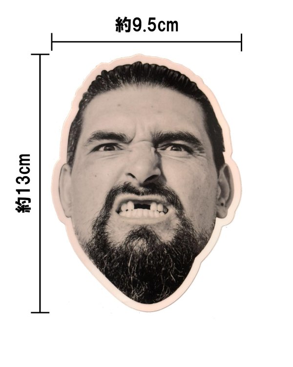 画像11: 送料無料 スペシャル限定品 OPIE ORTIZ 10枚組ステッカーパック (11)