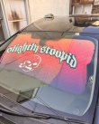 画像1: 送料無料 ラスト1枚で終了 SLIGHTLY STOOPID / Stoopid サンシェード (1)