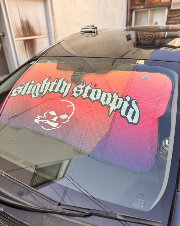 画像1: 送料無料 ラスト1枚で終了 SLIGHTLY STOOPID / Stoopid サンシェード (1)