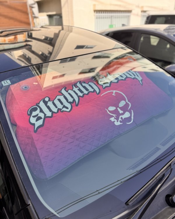 画像3: 送料無料 ラスト1枚で終了 SLIGHTLY STOOPID / Stoopid サンシェード (3)