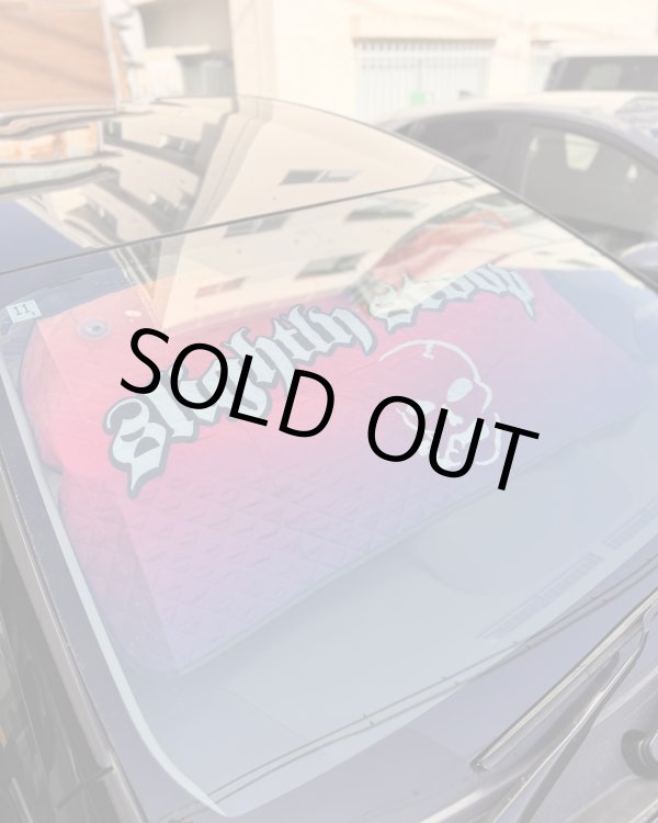 画像3: 送料無料 ラスト1枚で終了 SLIGHTLY STOOPID / Stoopid サンシェード (3)