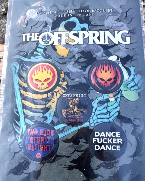 画像2: THE OFFSPRING / SKELETON MOLOTOV 缶バッジセット 5個入り (2)