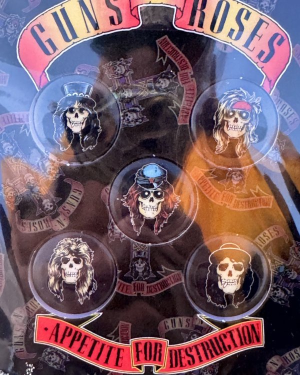 画像2: GUNS N' ROSES / APPETITE SKULLS ピンバッジセット 5個入り (2)