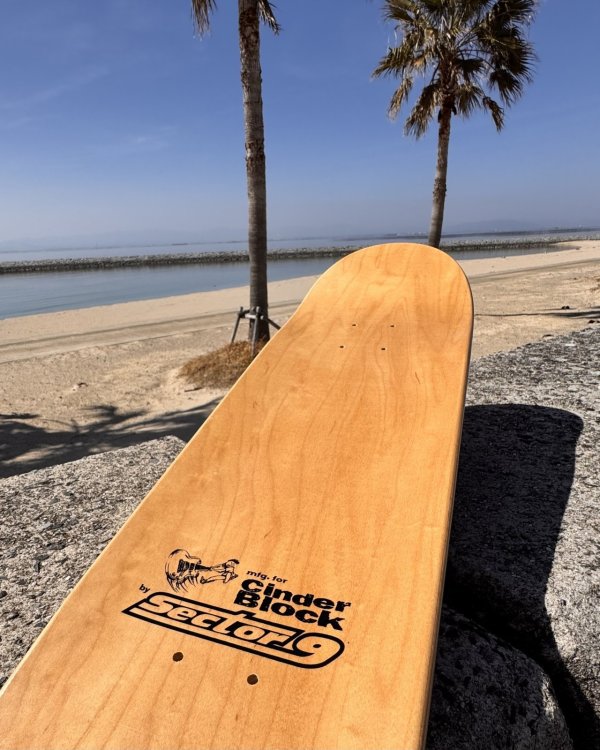 画像8: 送料無料 3枚限定入荷 激レア 当時物 BUCK-O-NINE / Artwork by TadPole スケートボードデッキ mfg. for CinderBlock by Sector 9 (8)