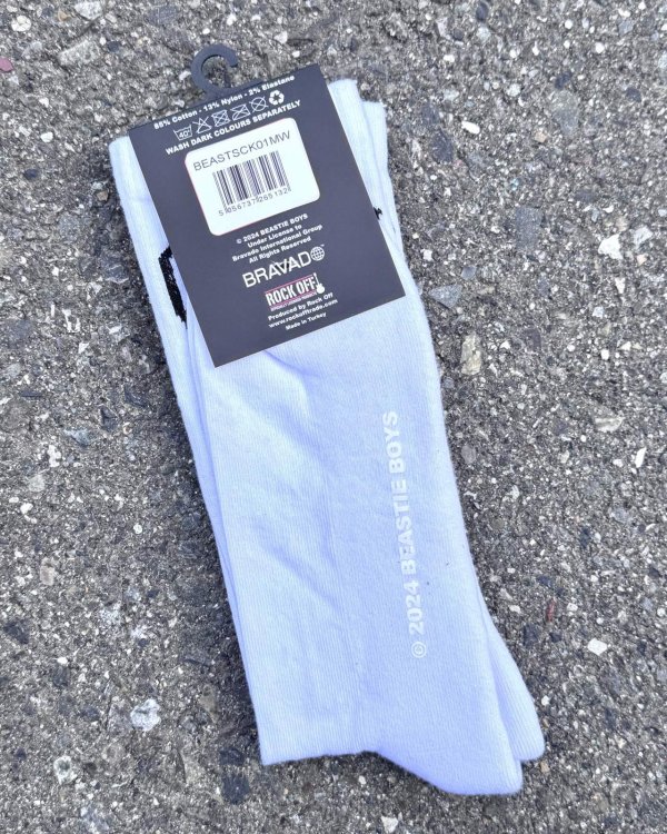 画像3: BEASTIE BOYS / Check Your Head ソックス (3)