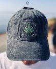 画像2: CYPRESS HILL / 420 Leaf ベースボールキャップ CHARCOAL (2)