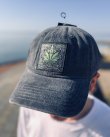画像3: CYPRESS HILL / 420 Leaf ベースボールキャップ CHARCOAL (3)