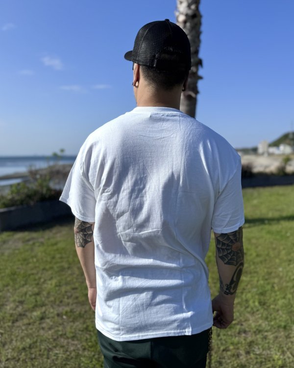 画像6: 送料無料 SLIGHTLY STOOPID / Ocean Beach Gate Tシャツ ホワイト (6)