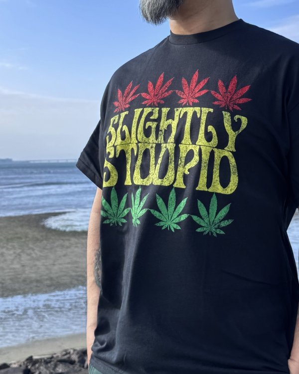 画像4: 送料無料 SLIGHTLY STOOPID / Rasta Leaf Tシャツ ブラック (4)