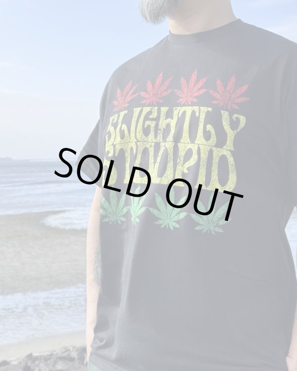 画像1: 送料無料 Lサイズラスト1枚で終了 SLIGHTLY STOOPID / Rasta Leaf Tシャツ ブラック (1)