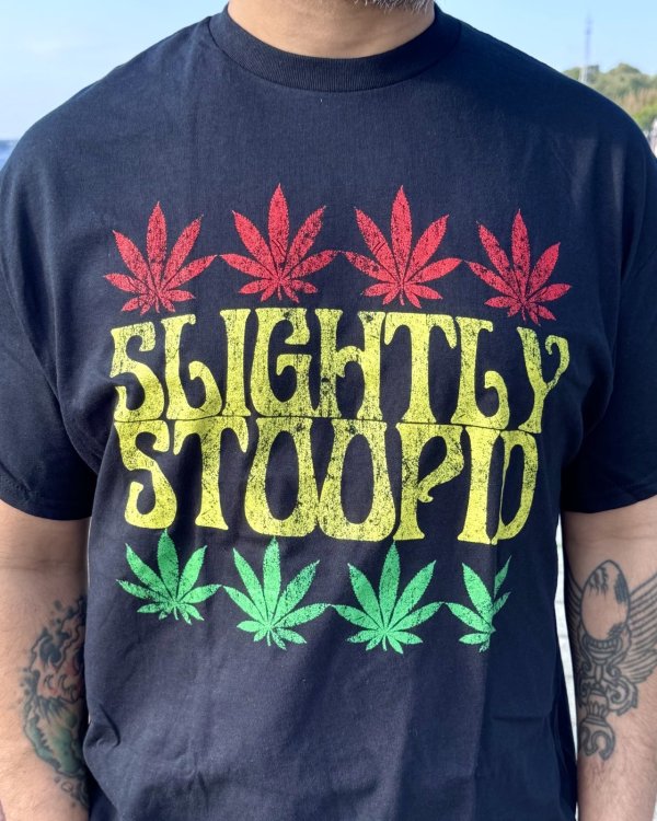 画像2: 送料無料 SLIGHTLY STOOPID / Rasta Leaf Tシャツ ブラック (2)
