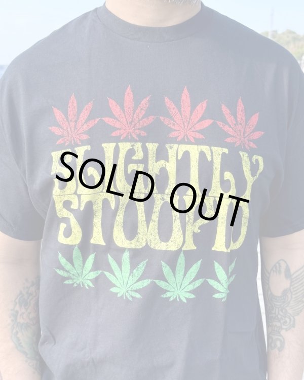 画像3: 送料無料 Lサイズラスト1枚で終了 SLIGHTLY STOOPID / Rasta Leaf Tシャツ ブラック (3)