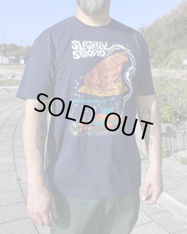 画像5: XLラスト1枚で終了 SLIGHTLY STOOPID / Smoking Toad Tシャツ ネイビー (5)