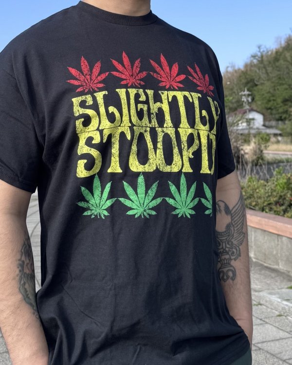 画像3: 送料無料 SLIGHTLY STOOPID / Rasta Leaf Tシャツ ブラック (3)