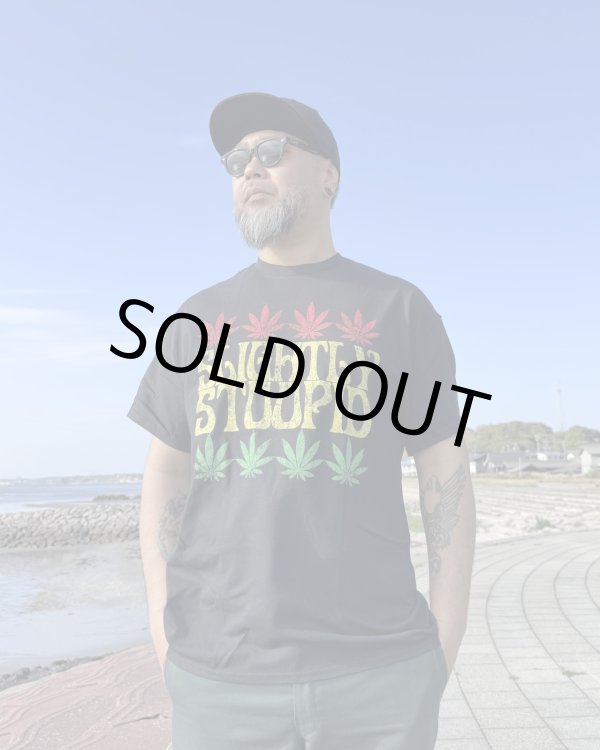 画像2: 送料無料 Lサイズラスト1枚で終了 SLIGHTLY STOOPID / Rasta Leaf Tシャツ ブラック (2)