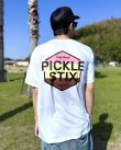 画像4: 送料無料 BALL&CHAIN別注 PICKLE STIX SURFBOARDS / Neapolitan Tシャツ ホワイト (4)