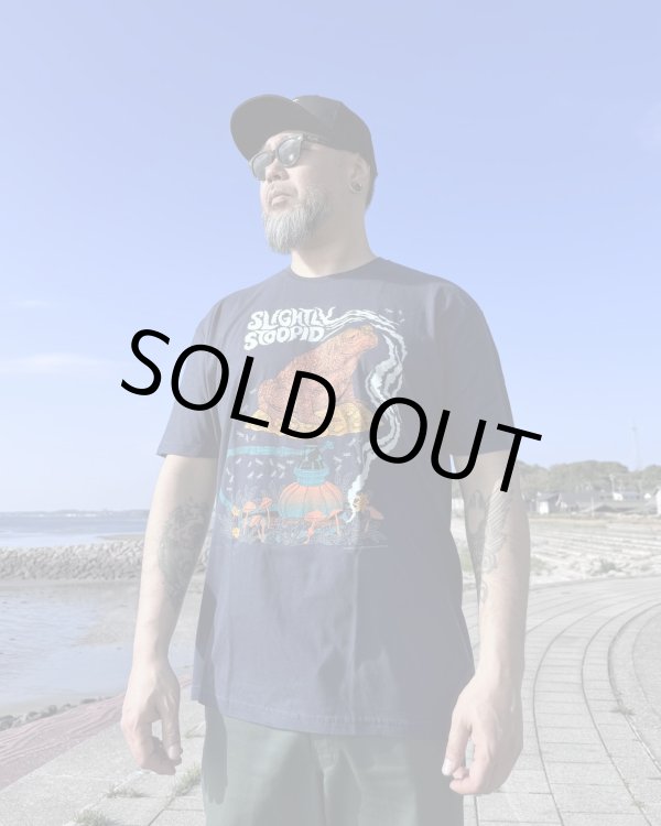画像2: XLラスト1枚で終了 SLIGHTLY STOOPID / Smoking Toad Tシャツ ネイビー (2)
