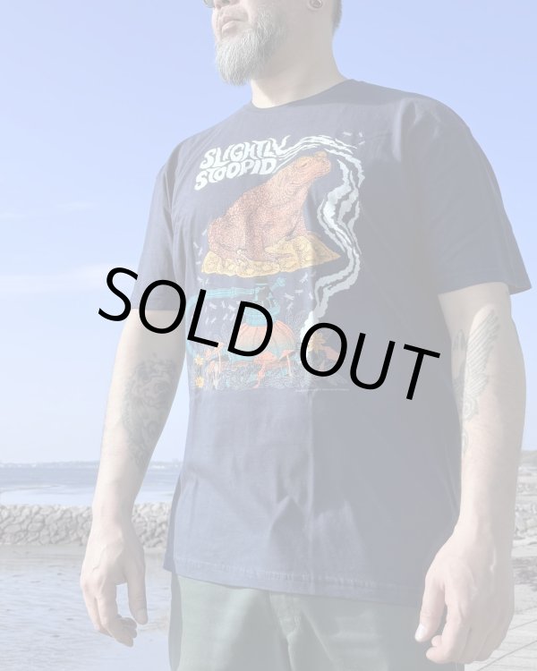 画像4: XLラスト1枚で終了 SLIGHTLY STOOPID / Smoking Toad Tシャツ ネイビー (4)