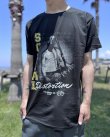 画像4: SOCIAL DISTORTION  / Athletics Tシャツ ブラック (4)
