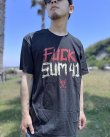 画像2: 送料無料 SUM 41 / Fuck Sum 41 Tシャツ ブラック (2)